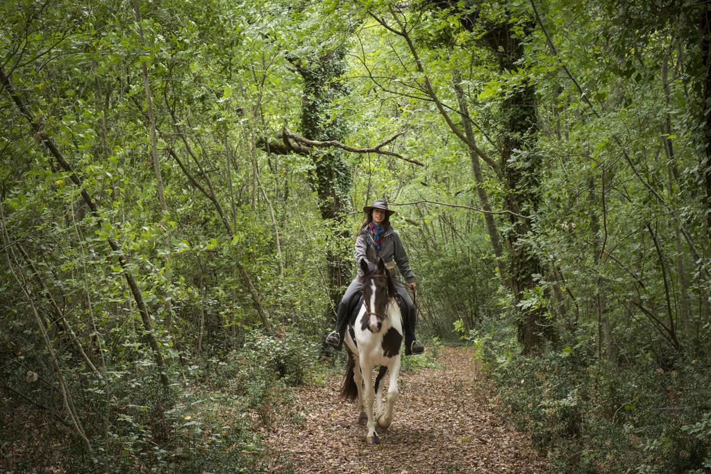 Borgo Pignano Tuscany Ngoại thất bức ảnh